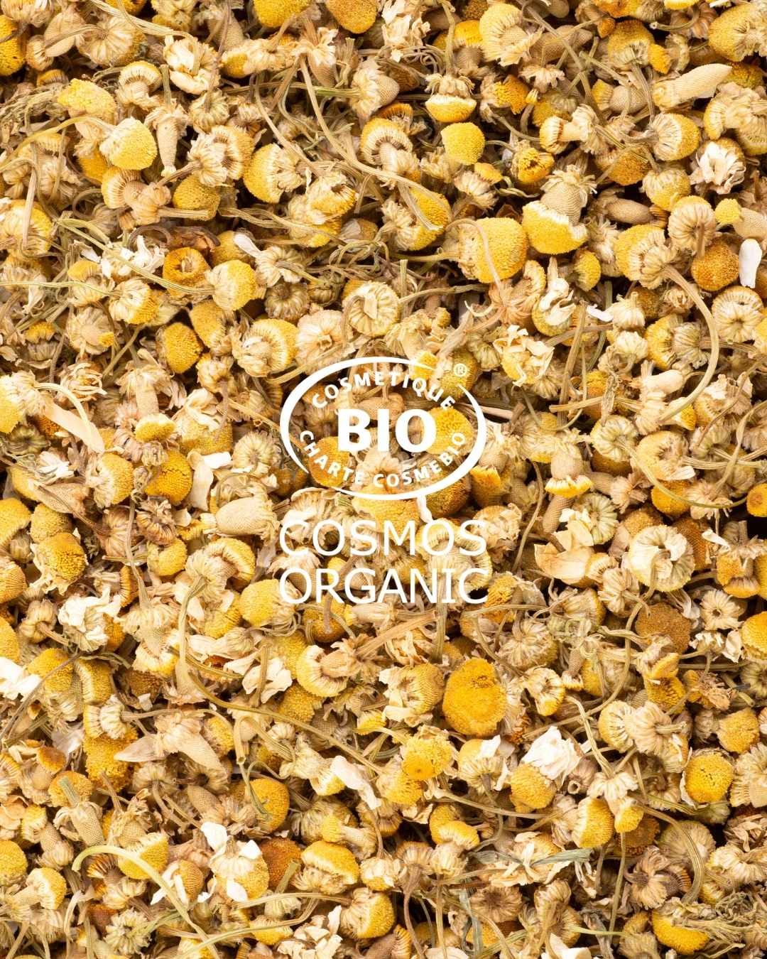 CERTIFICATION BIO COSMOS ORGANIC BOPLUME DERMATOLOGIE