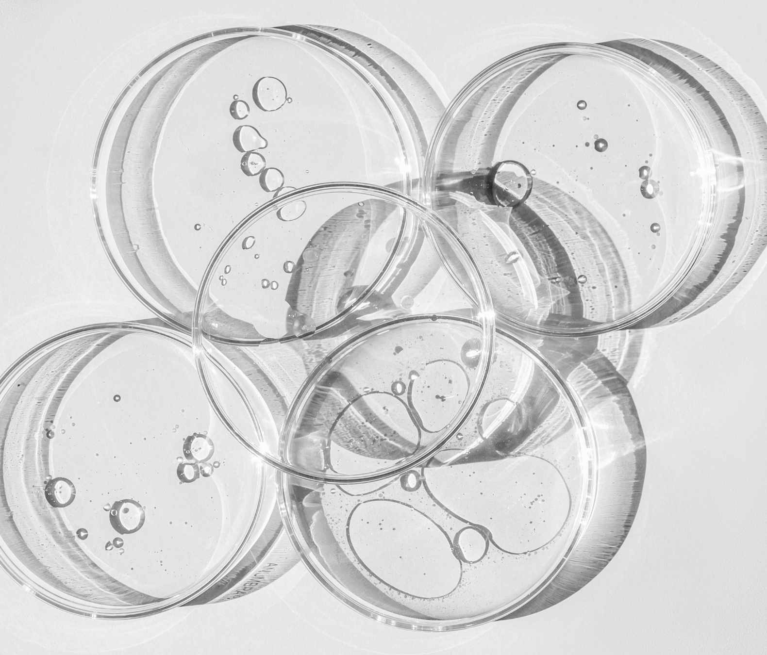 EXPERTISE MICROBIOME CUTANÉ BOPLUME DERMATOLOGIE