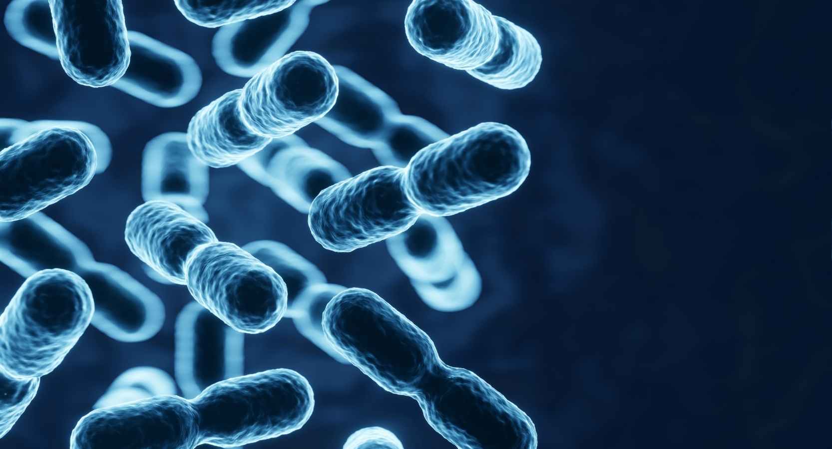 LES PROBIOTIQUES : DES MICRO-ORGANISMES VIVANTS POUR RÉENSEMENCER LA PEAU BOPLUME DERMATOLOGIE